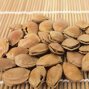 【炒杏核】炒杏核品牌,价格 - 阿里巴巴