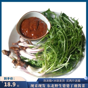 东北野生婆婆丁新鲜蒲公英蘸酱菜鲜嫩现挖现发坏了包赔拍二送酱
