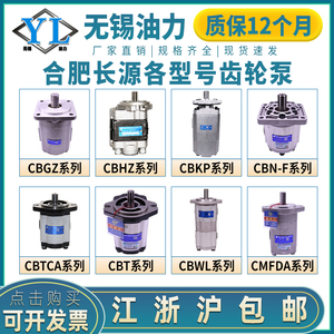 HCHC合肥长源齿轮泵CBTN-F425定制液压油泵CBNZQ-F563-BLH/高压泵