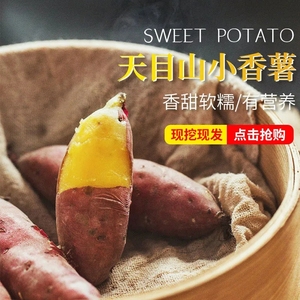 浙江临安天目山小香薯5斤新鲜正宗板栗红薯番大地瓜蜜小蕃薯小果