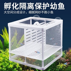 鱼缸隔离网水族箱隔离器隔离盒网鱼缸孵化器繁殖箱孵鱼槽孵化鱼网