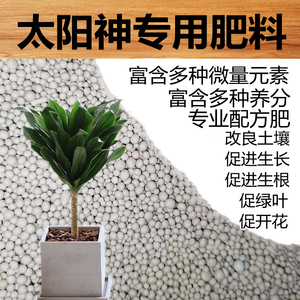 太阳神植物专用肥密叶朱蕉肥料养料营养液复合肥有机肥盆栽缓释肥