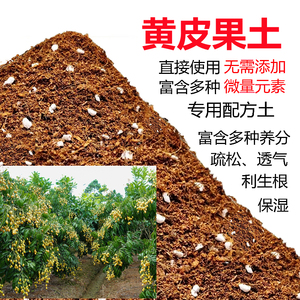 黄皮果专用土黄皮果土盆栽营养土果树土酸性沙质土壤绿植种植肥料