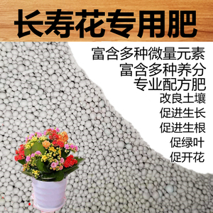 长寿花专用肥长寿花肥料绿萝发财树多肉专用肥盆栽复合肥花肥肥料