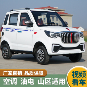 本途红旗电动四轮车家用代步车新能源油电两用成人接送孩子四轮车