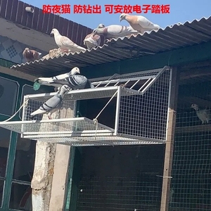 鸽子跳笼进出门放飞笼折叠只进不出信鸽赛鸽棚鸽舍活络门自动门