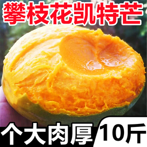 四川攀枝花凯特芒果10斤新鲜纯甜特级大芒果应当季水果整箱包邮5