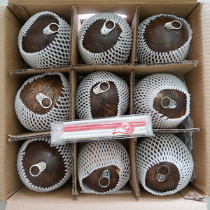 海南易拉罐椰皇老椰子肉当季新鲜孕妇水果牛奶黑椰青椰汁椰冻椰宝