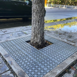 20*20*3公分拼接pp塑料树池盖板树池篦子格栅树坑盖板篦子护树板