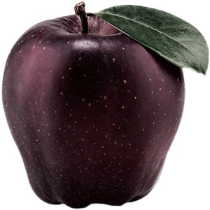 云南昭通现摘黑卡黑苹果水果5斤礼盒装