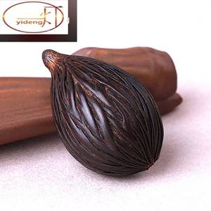 95云南普洱茶古树茶行淘宝千丝菩提原籽狐尾椰子