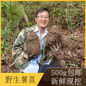 广西野生新鲜现挖中药材薯莨红孩儿红三七红药子染料500g包邮