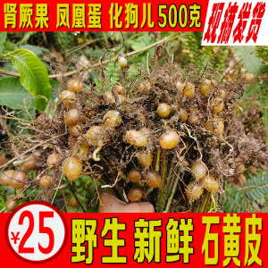 纯野生新鲜石黄皮凤凰蛋蛇蛋马骝卵肾蕨果化狗儿蜈蚣草500克包邮