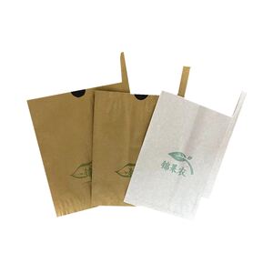 双层枇杷果袋套防晒防鸟袋专用纸袋套树上的袋子白色透光水果套袋