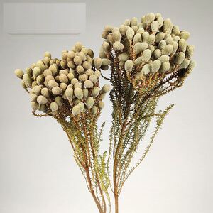 厂家珊瑚果干花北欧进口烟雾枝情人节礼物新年居家装饰摆件