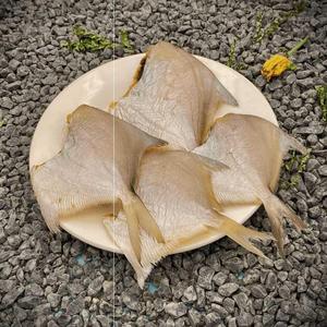 北海白鲳鱼干小干鱼仔咸鱼干散装小鲳鱼干货无头鱼干自制风干