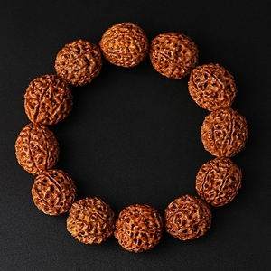 落地红金刚八瓣