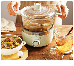 东菱养生锅电炖煮锅多功能家用燕窝隔水炖盅小电热火锅玻璃煲汤锅