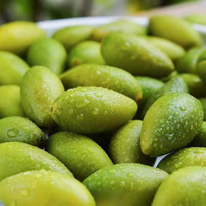 生吃正宗潮汕青果橄榄好吃的青橄榄新鲜水果生橄榄潮州特产甜橄榄