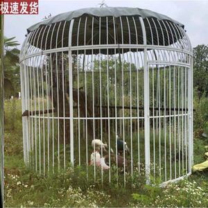 商场笼子巨型网户铁艺鸟笼特大号养鸟超大孔雀广场鸽笼金属加网