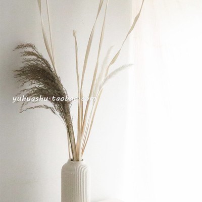 ins韩系随风干花芦苇花束白色陶瓷花瓶装饰摆件民宿店铺软装设计