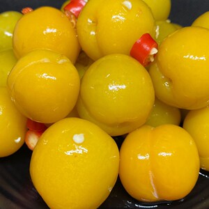 【腌李子】广西特产当季水果酸辣脆李子开胃解腻爽脆三月李三华李