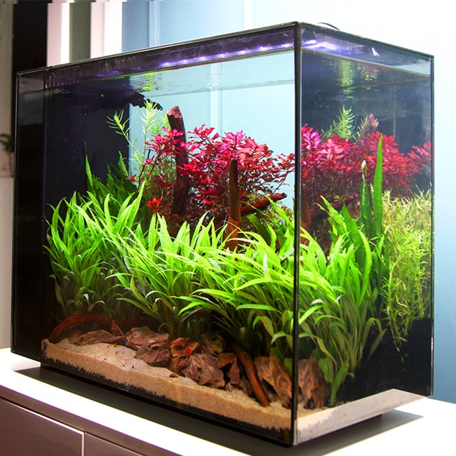 水草中型自动鱼缸水族箱家用长方形缸造景套餐循环景造鱼缸