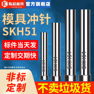 模具冲针SKH51冲头高速钢加硬T冲不锈钢冲针五金模具冲孔非标定制