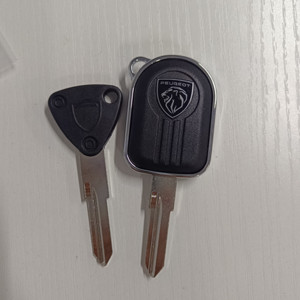 原厂标致姜戈qp150t-c/2/3/sf3/4毛坯胚通用钥匙模型摩托车配件邮