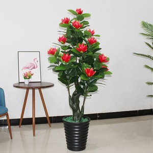 【莲花盆景大型】莲花盆景大型品牌,价格 - 阿里巴巴