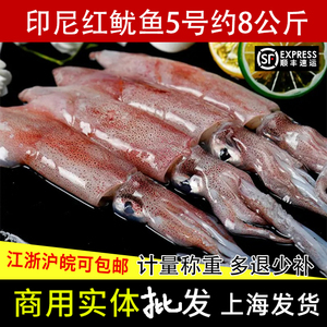 印尼红鱿鱼5/4/3号超大新鲜活冻笔管鱼速冻整箱8公斤籽乌海兔子