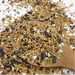 玄凤鹦鹉鸟粮油麻子玄凤鹦鹉鸟粮鹦鹉爱吃油麻子【5斤装】