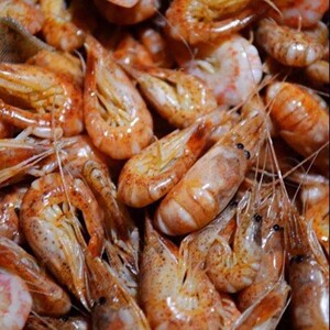 2022年新品正宗莱州桃花虾小虾凉粉虾