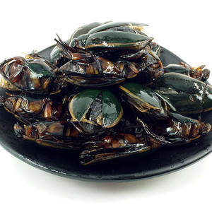 东北水老鳖金边