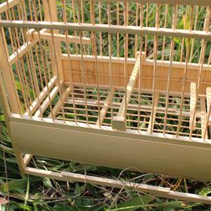 黄豆鸟鸟笼贵州