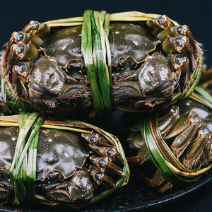 盒装母黄大闸蟹礼盒