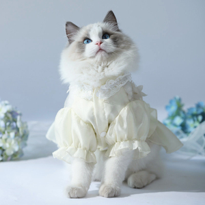 猫咪衣服猫猫薄款宠物英短布偶猫小猫夏天裙幼猫公主裙子夏季