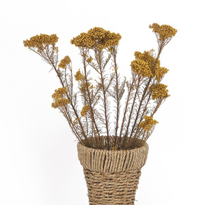 小米花干花真花材插花永生花酒吧家居装饰云南客厅插花摄影道具