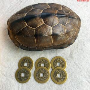 龟壳摇卦手把件文玩爻卦工具六十四卦纯铜钱乌龟甲摆件起卦风水龟