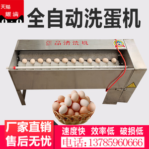 全自动洗蛋机蛋品清洗机鸡蛋鸭蛋泥蛋麻将蛋不锈钢鸡蛋清洗机商用