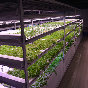 室内无土栽培蔬菜设备种植大棚水培草莓技术温室培养植物工厂育苗