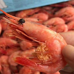 进口甜虾头