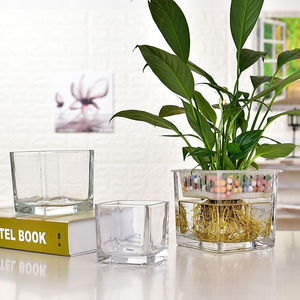 水养花瓶玻璃大号大号玻璃花盆水培容器透明创意个性绿萝植物多