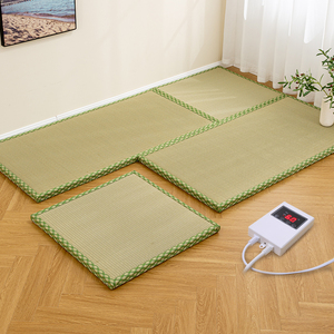 苗美飞商务舰旗店淘宝榻榻米加热床垫垫子椰棕乳胶双面家用塌塌米