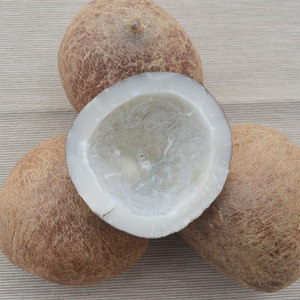 00249人付款淘宝6个装海南东郊特产新鲜当季热带水果牛奶椰宝老椰发芽