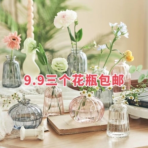 9.93个欧式ins风简约玻璃小花瓶透明水培绿植花瓶摆件客厅创意插