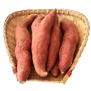 新疆冰糖心红薯