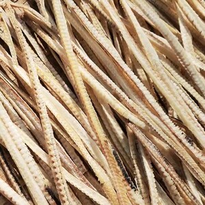 鳗鱼骨头500g海鲜干货淡晒海鳗鱼干煲汤