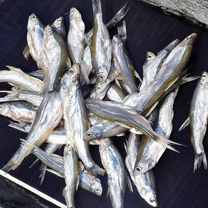 安徽特产生咸鱼干淡水小河鱼水库鱼干刁子鱼干参条