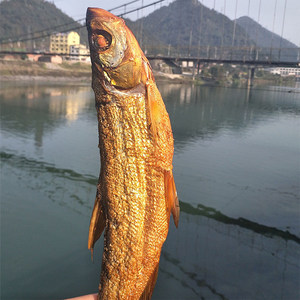 湖南郴州特产东江鱼烟熏翘嘴鱼火烘腊鱼火焙鱼50